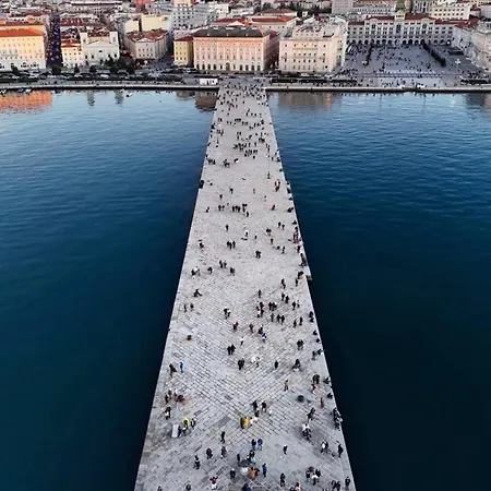 Lutomic Dream Daire Trieste